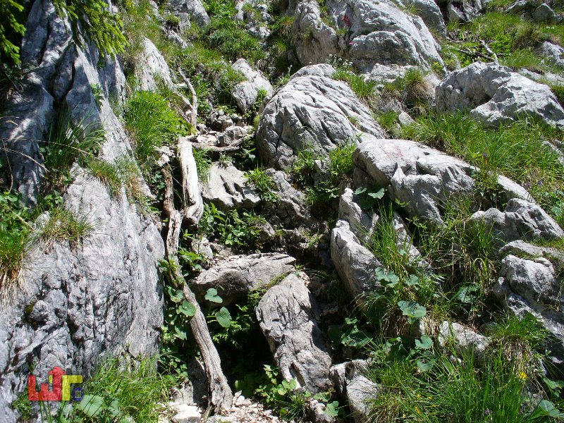 Tour Reiteralpe 2005